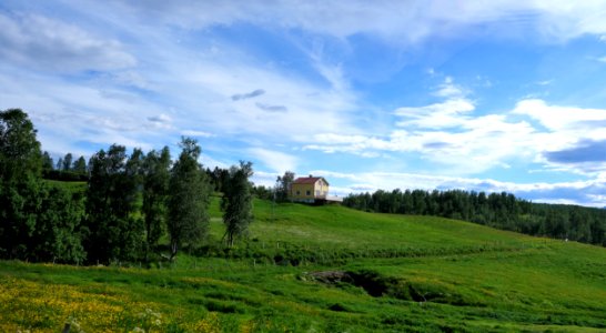 DSC08327 