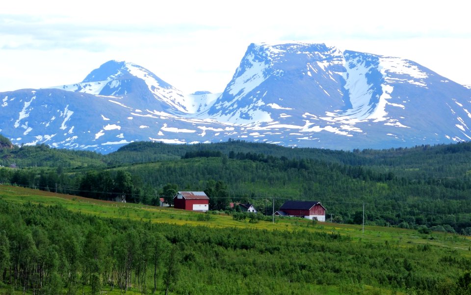 DSC08300 