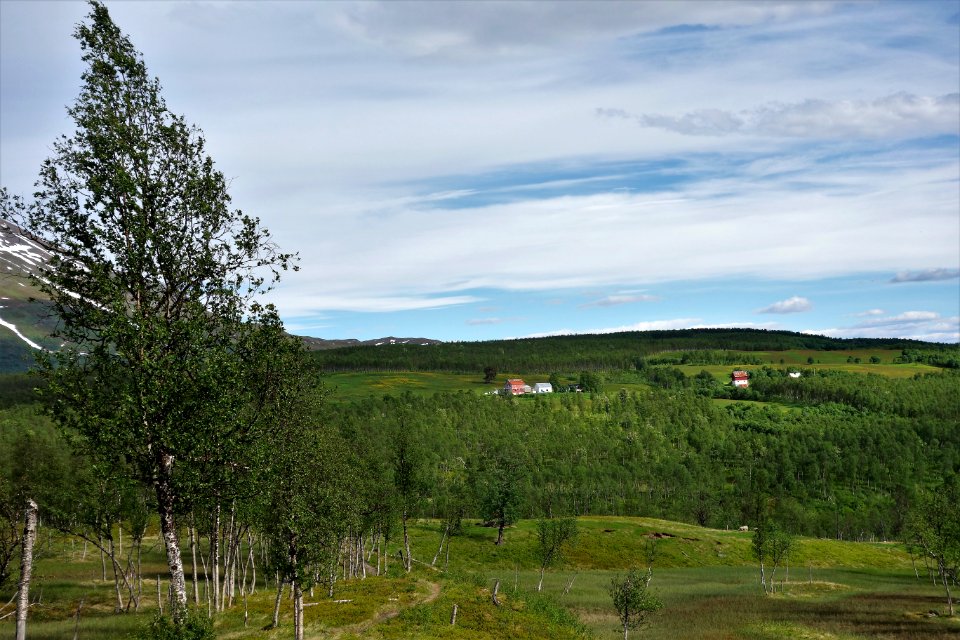 DSC08286 