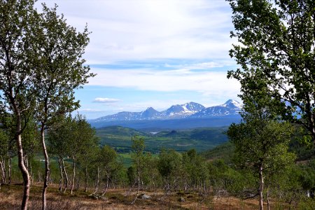 DSC08258 