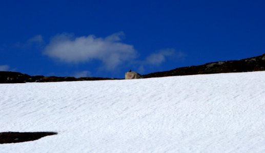 DSC08168 
