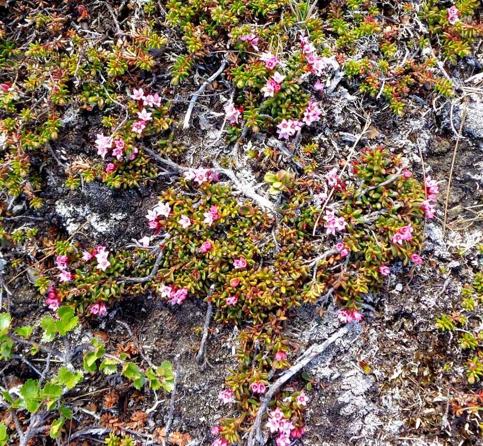 DSC08166b 