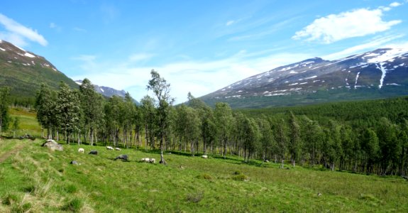DSC08154 