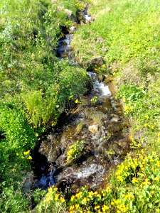 DSC08152a 