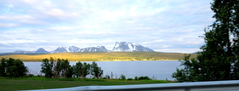 DSC08134 