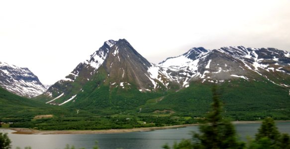DSC08125 