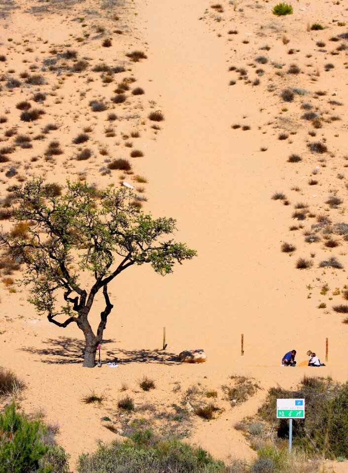 Landscape sands dunes