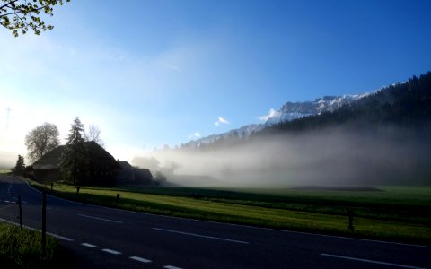 DSC06979 