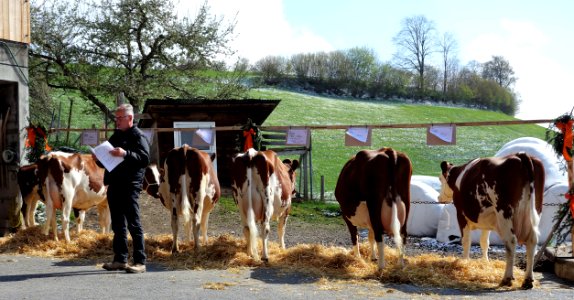Bild 2h 
