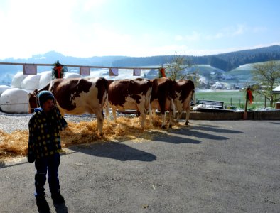 Bild 8 