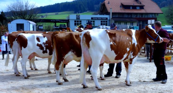 DSC06205 