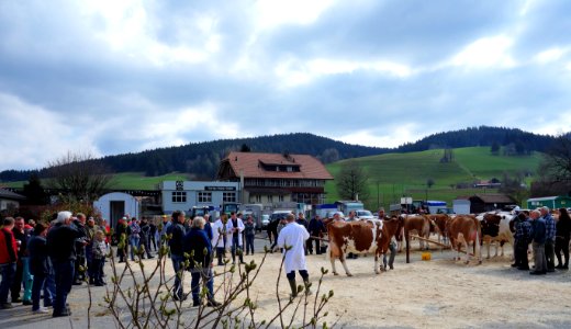 DSC06179 