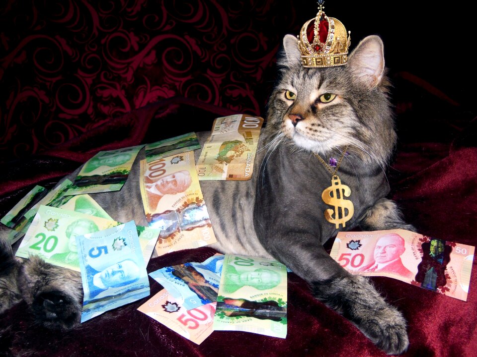 Wealth canadian money naked man