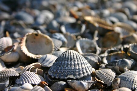 Vacations beach nature
