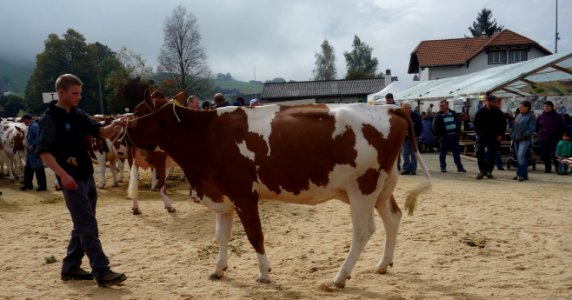 DSC04847 