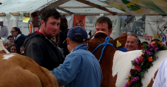 DSC04794 