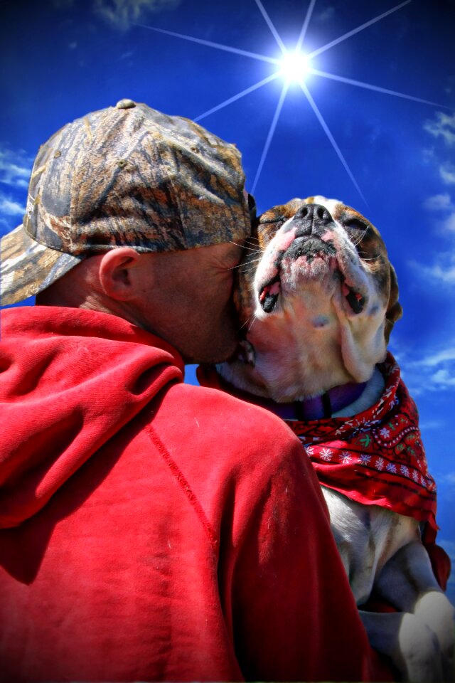 Bulldog love poverty