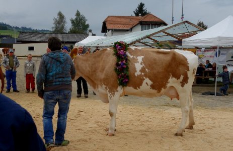 DSC04660 