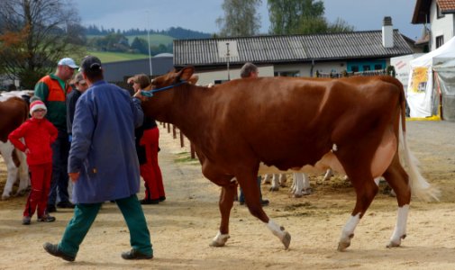 DSC04640 