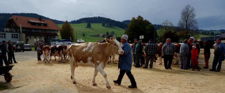 DSC04641 