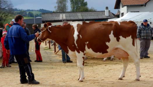DSC04637 