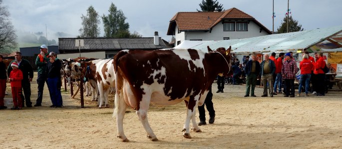 DSC04609 