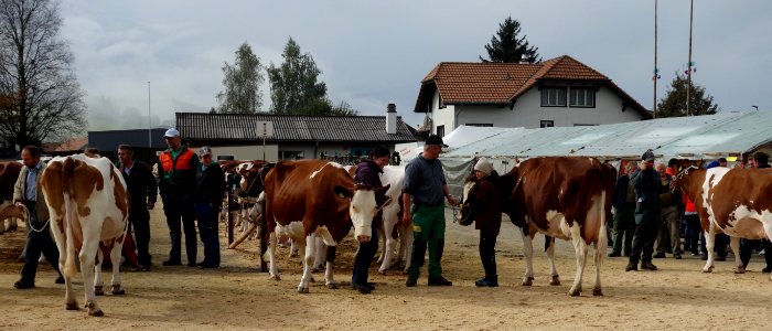 DSC04606 