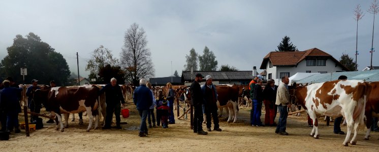 DSC04589 