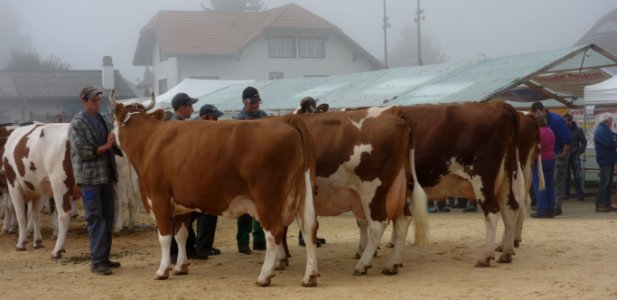 DSC04567 