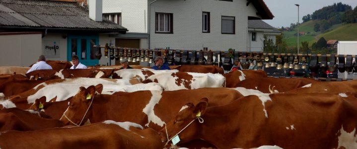 DSC04546 