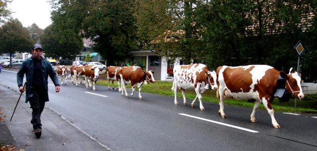 DSC04399 
