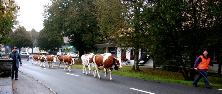 DSC04395 