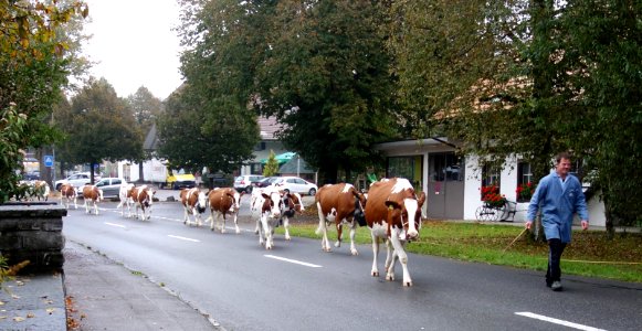 DSC04377 