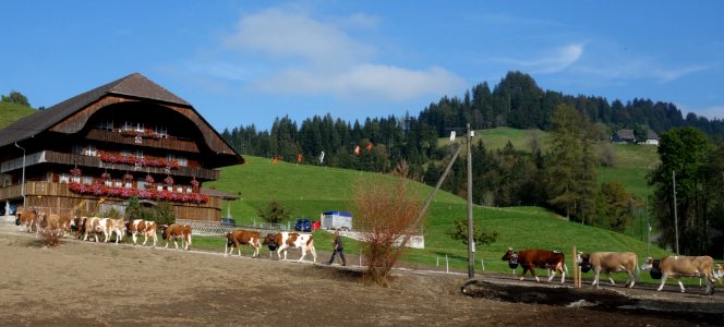 DSC04352 
