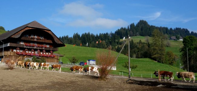 DSC04350 
