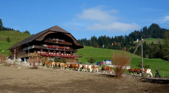 DSC04344 