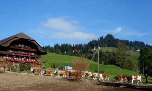 DSC04337 