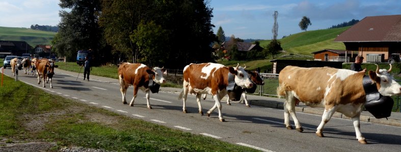 DSC04301 