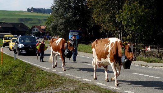 DSC04178 
