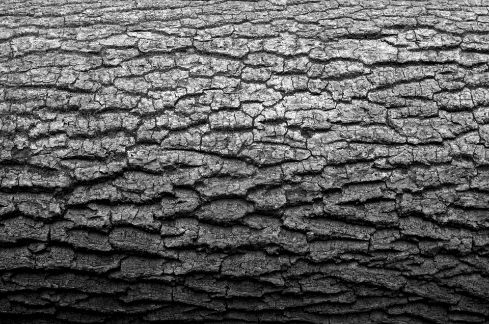 Detail mood peaceful