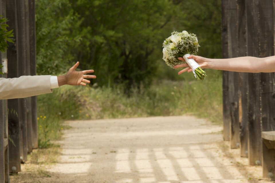 Wedding photo wedding photograpy in love