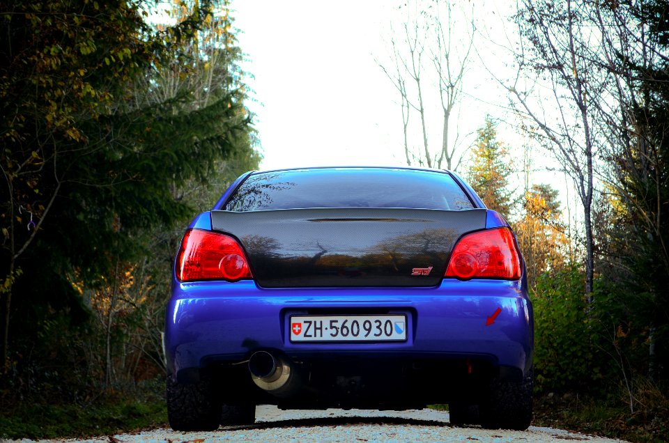 dat ass:-) 