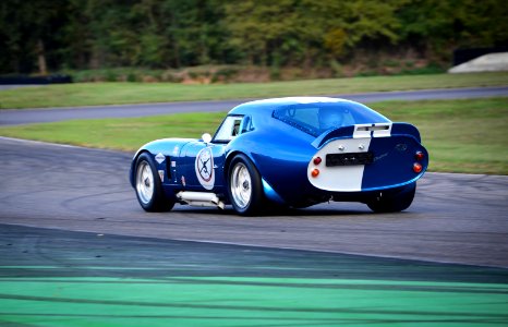 shelby daytona photo