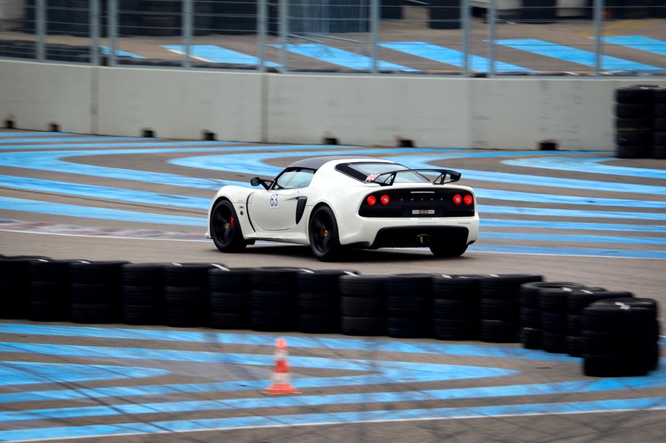 lotus 