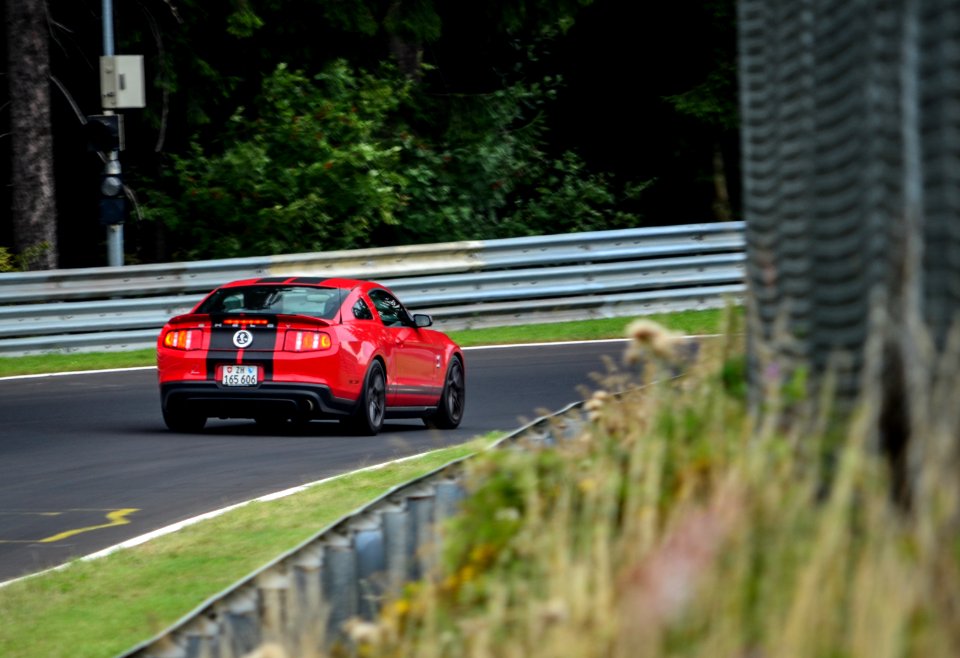 shelby 