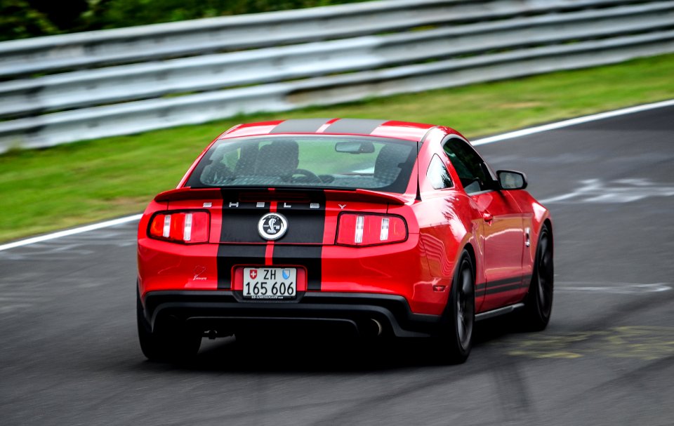shelby 