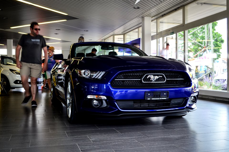 blue mustang 
