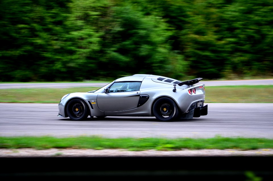 lotus 
