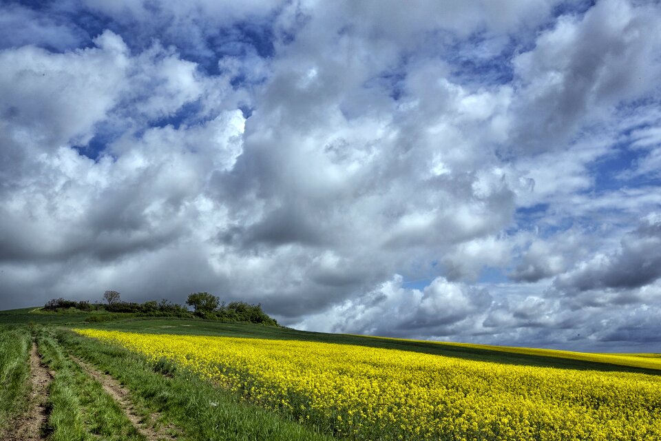 France cereals nature