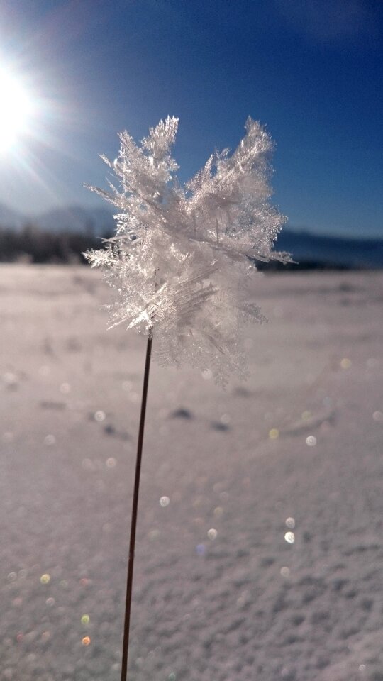 Winter nature natural